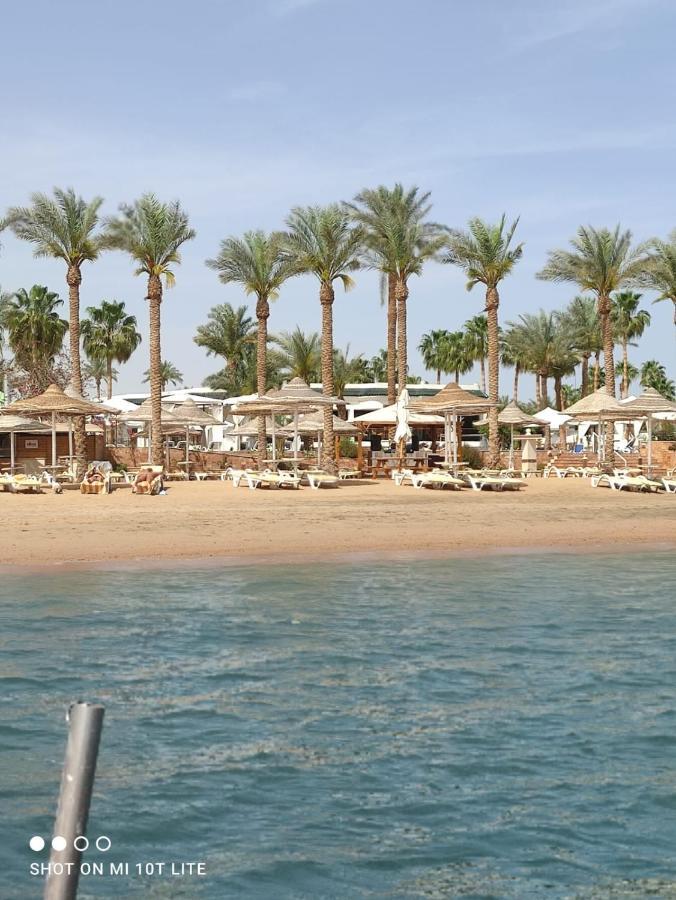 Seti Sharm Palm Beach Resort Families And Couples Only 외부 사진