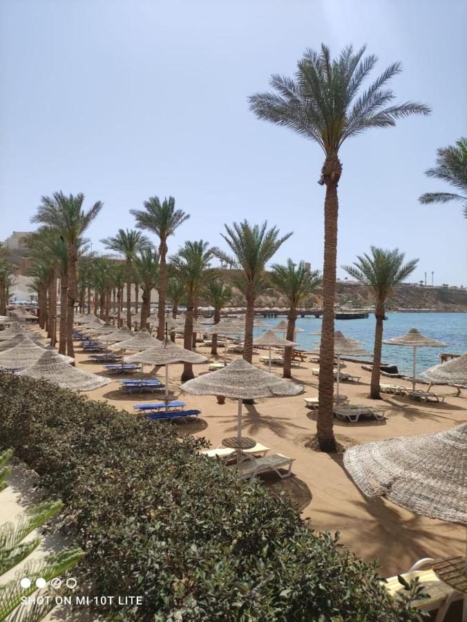 Seti Sharm Palm Beach Resort Families And Couples Only 외부 사진
