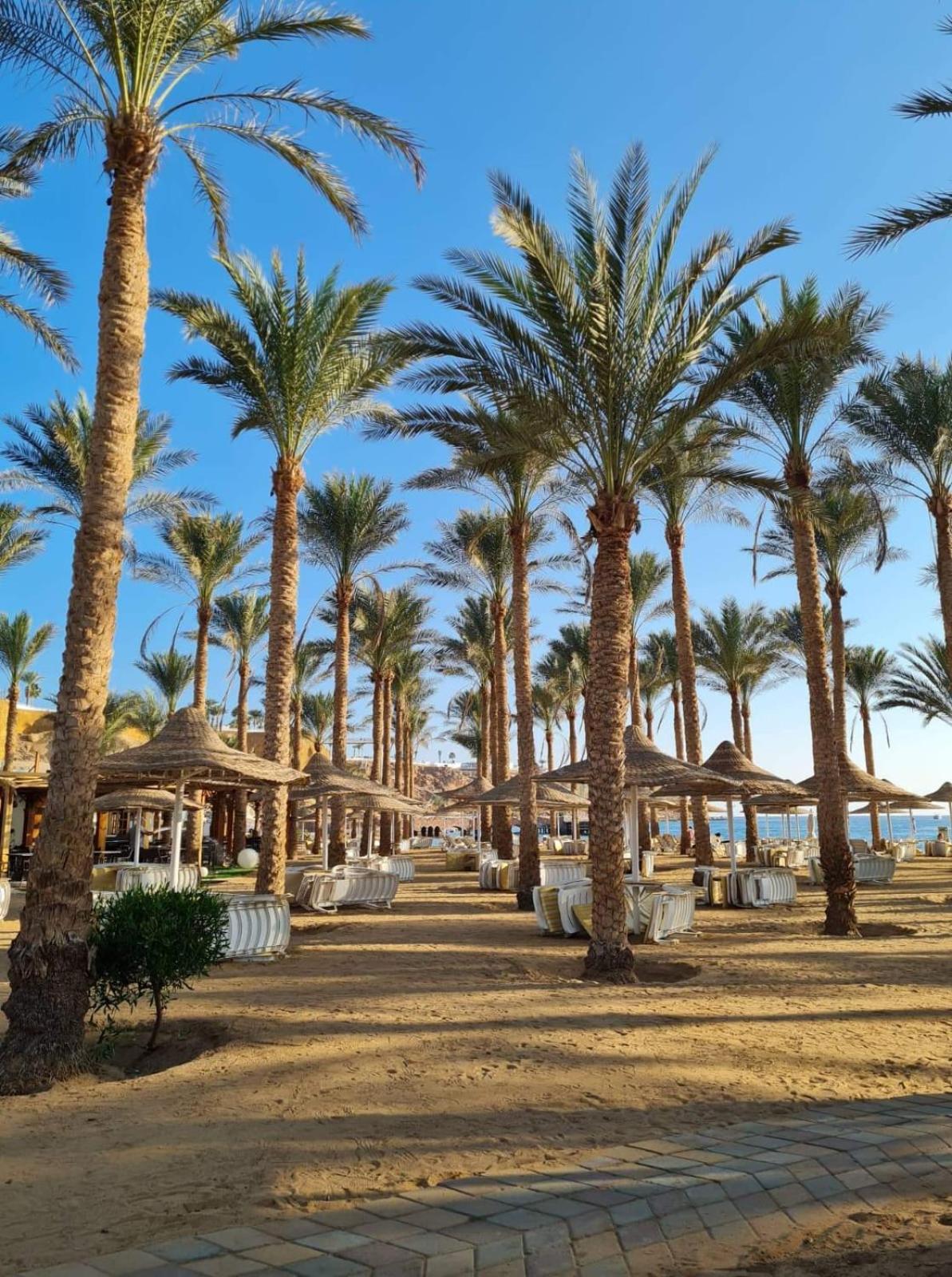 Seti Sharm Palm Beach Resort Families And Couples Only 외부 사진